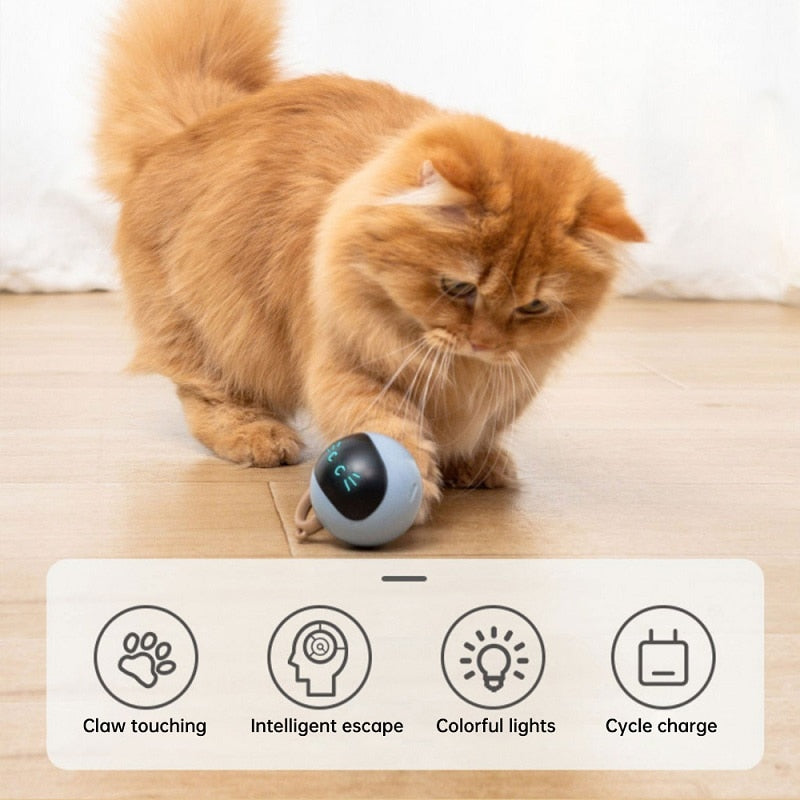 Smart Colorful LED Ball Cat Toy