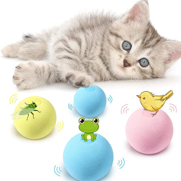 Smart Interactive Ball Cat Toy